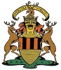 Home team badge