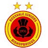 Home team badge