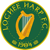 Home team badge