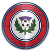 Home team badge